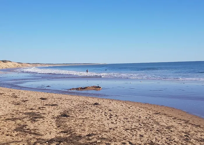 Petite Maison Agreable Avec Jardin Privatif Holiday home *